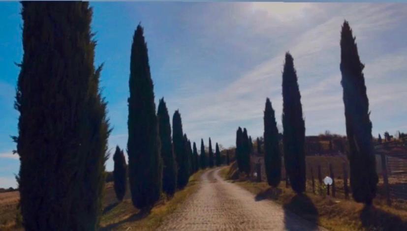 Agriturismo Villa Felice 볼테라 외부 사진